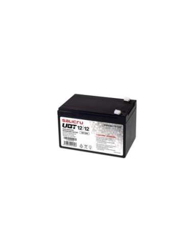 Salicru UBT 12/12 - Batería AGM recargable de 12 Ah / 12 V - A001481639 SALICRU 013BS000003