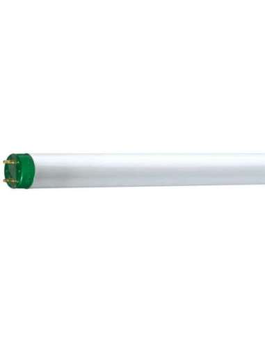 Lámpara fluorescente TL-D ECO 16W/840 G13 - A000944905 PHILIPS 26861740