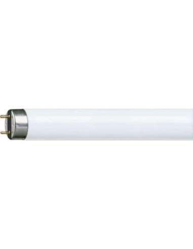 Fluorescente Master TL-D NG-23W/830 3000K - A000945969 PHILIPS 55863340 (EMBALAJE DE 25 UNIDADES)