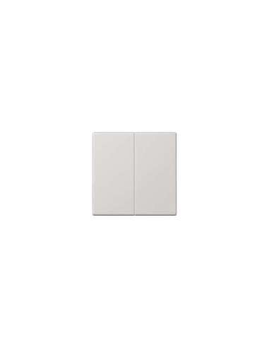 Teclca doble LS gris claro - A000659044 JUNG LS995LG