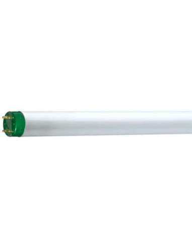 Lámpara fluorescente TL-D ECO 16W/840 G13 PHILIPS 26861740