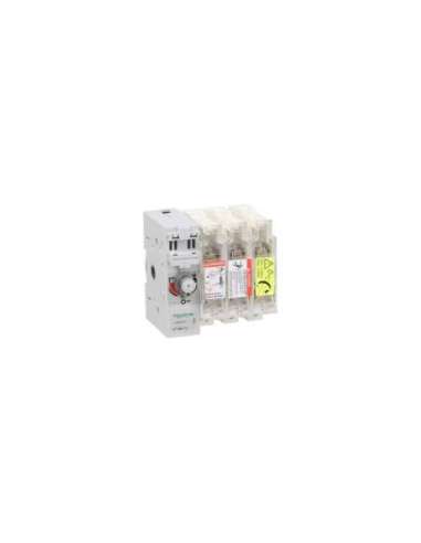 interruptor seccionador para fusíveis TeSys GS2N - 3P 250A tamanho 1 esquerdo - A001123417 SCHNEIDER ELECTRIC GS2NG3