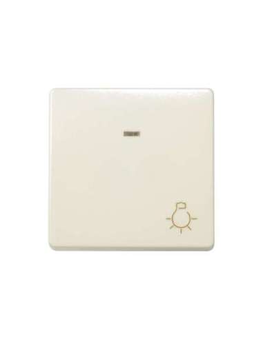 Pulsador con grabado luz 10 A 250V~