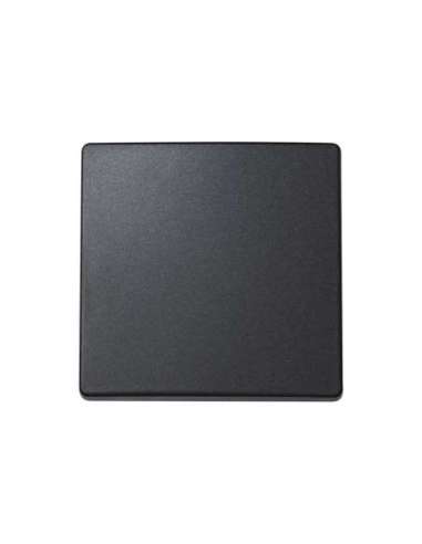 Tecla individual para mecanismos de mando grafito Simon 73 Loft - A000038703 SIMON 73010-62
