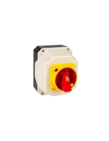INTERRUPTOR 4P.40A. EN CAJA IP65 AB5534107 - A000152494 GAVE 009AB5534107