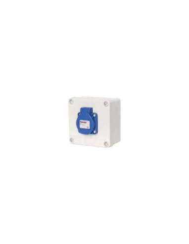Caja IP55 libre de halógenos 1 base 2P TT lateral 10/16A - A000496367 FAMATEL 3061