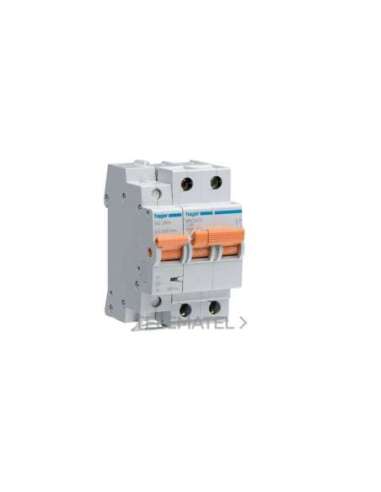 Interruptor automático general+limitador sobretensión permanente 2P 25A - A000630547 HAGER MZ225V
