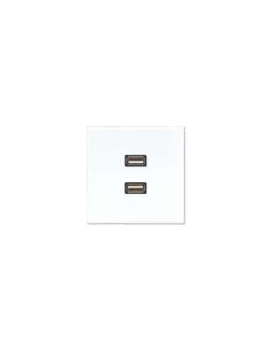 Placa USB 2.0 2 tomas LS blanco alpino - A001178443 JUNG MALS1153WW
