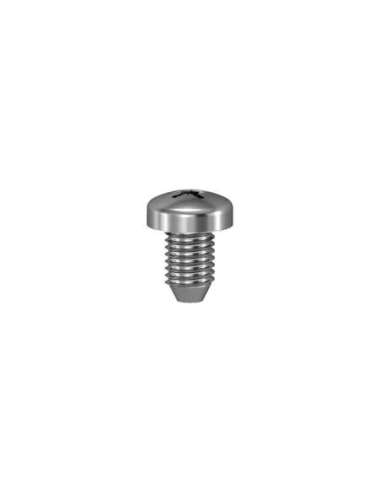 Set of 100 self-tapping screws - A001186083 SCHNEIDER ELECTRIC NSYAMFSB