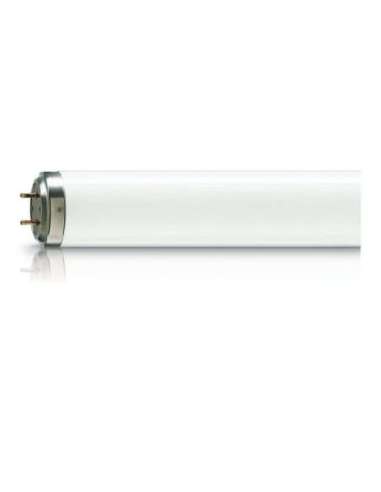 Fluorescente atrapainsectos TL 40W/10 PHILIPS 26026000 (EMBALAJE DE 25 UNIDADES)