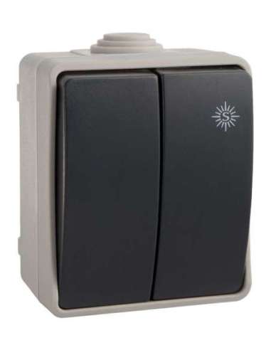 Doble conmutador / interruptor estanco 10AX 250V~. IP54. De superficie. - A001360753 SOLERA 3313