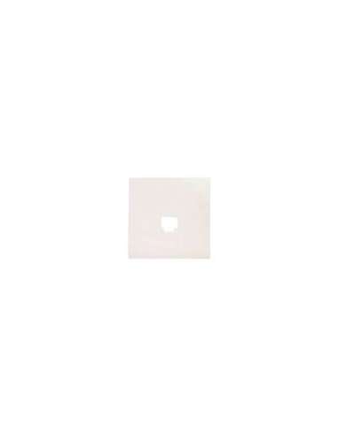 Tapa conector 1 rj45 61782-WH BJC 5TG22782WH01 (EMBALAJE DE 10 UNIDADES)