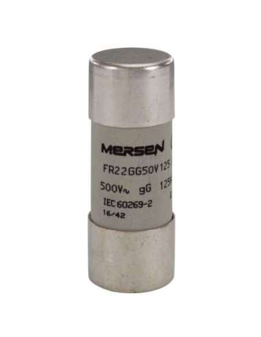500V CP 22X58 GG 125A S/I FS FR22GG50V125 - A001616093 MERSEN J219773