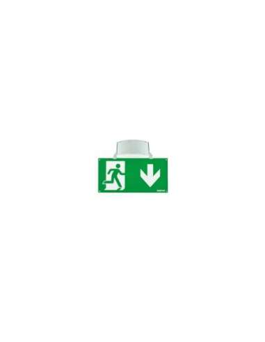 CONJUNTO ACC. SUPERFICIE + BANDEROLA TECHO ALS0011 - A003808782 ZEMPER ALS0011