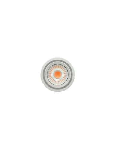 Módulo LED PrevaLED COIN 111 COB PL-CN111-COB-4300-840-40D-G1 LED_LED 4052899621497 (EMBALAJE DE 12 UNIDADES)
