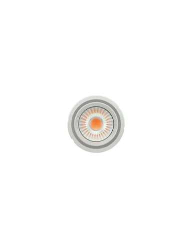 Módulo LED PrevaLED COIN 111 COB PL-CN111-COB-4300-830-60D-G1 LED_LED 4052899621572 (EMBALAJE DE 12 UNIDADES)