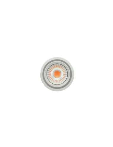 Módulo LED PrevaLED COIN 111 COB PL-CN111-COB-2800-830-24D-G1 LED_LED 4052899621756 (EMBALAJE DE 12 UNIDADES)