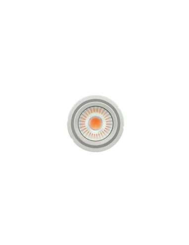 Módulo LED PrevaLED COIN 111 COB PL-CN111-COB-2800-840-24D-G1 LED_LED 4052899621763 (EMBALAJE DE 12 UNIDADES)