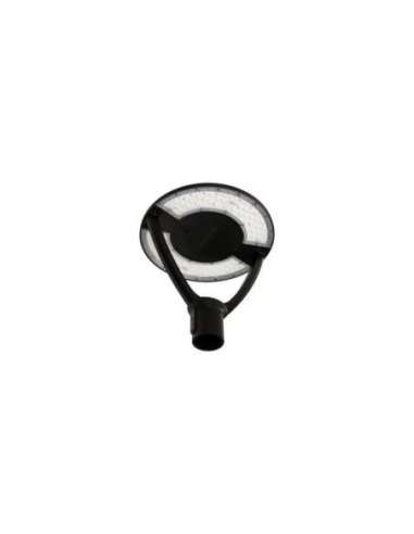 Luminaria vial LTRN V 29W ASYM PS2CCT IP66 negro LED_LED 4099854246784