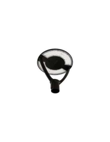 Luminaria vial LTRN V 59W ASYM PS 2CCT IP66 gris LED_LED 4099854246814