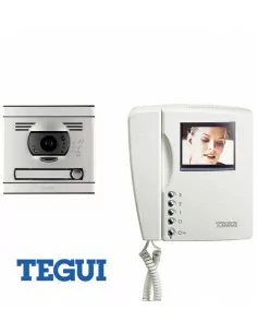 TEGUI - Kit Videoportero Color 2 Hilos 1 Linea Monitor Swing y Placa S7  TEGUI 376026 