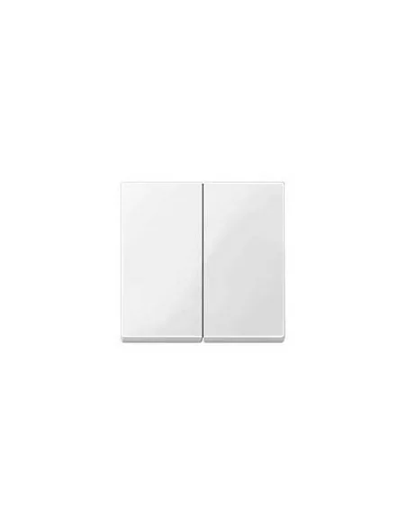 Tecla interruptor doble Blanco Elegance Schneider MTN432519