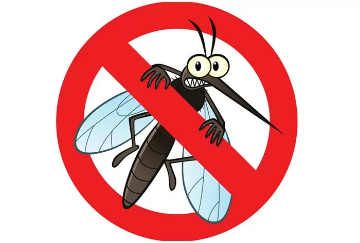 Eliminar moscas y mosquitos