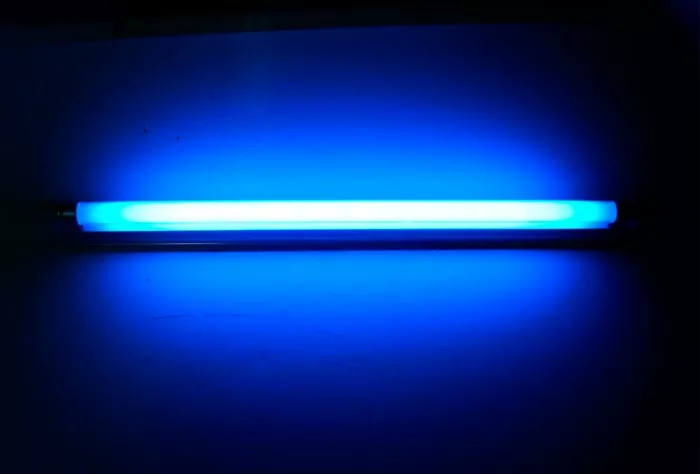 Luz actínica